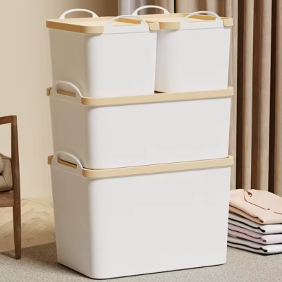 Plastic Portable Daily Necessities Storage Box With Lid Wardrobe Sock Storage Box